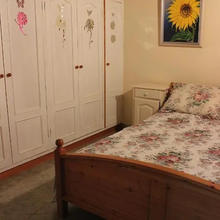 Beautiful 2-bed In Parque Holandes